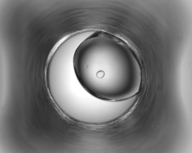 X0000087011196200704301411