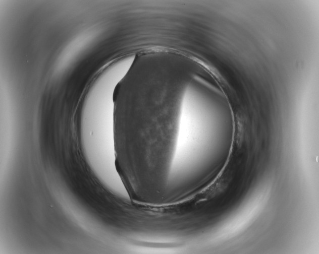 X0000087011198200704301411