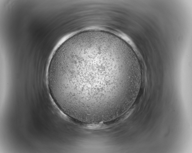 X0000087011199200704301411