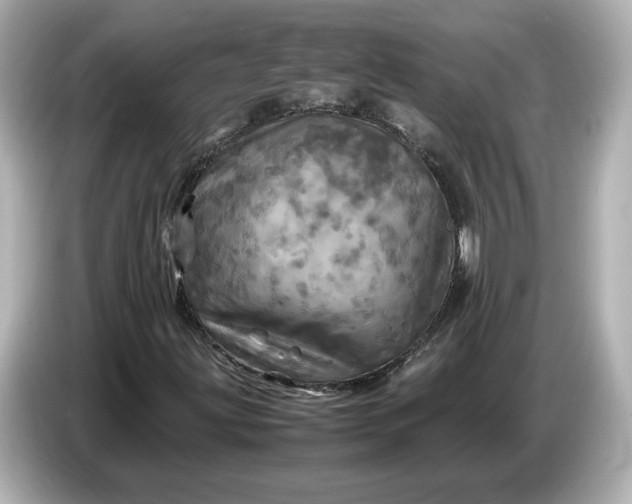 X0000087011203200704301411