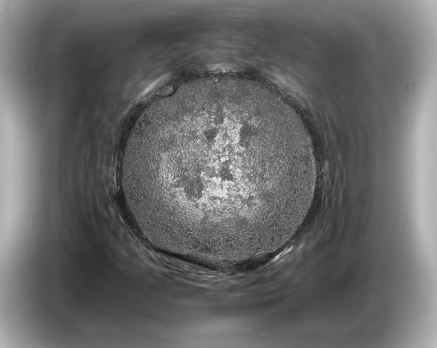 X0000087011205200704301411