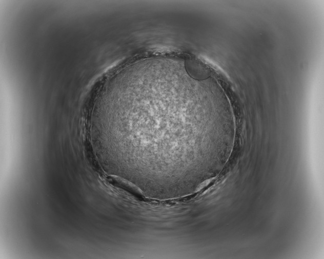 X0000087011207200704301411