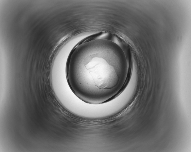 X0000087011210200704301411