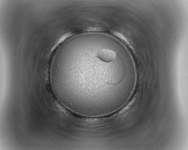 X0000087011211200704301411