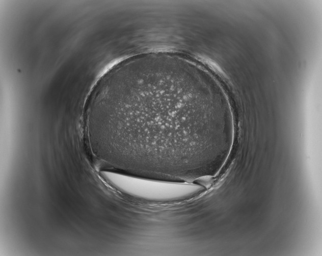 X0000087011212200704301411