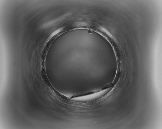 X0000087011213200704301411