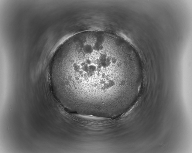 X0000087011215200704301411