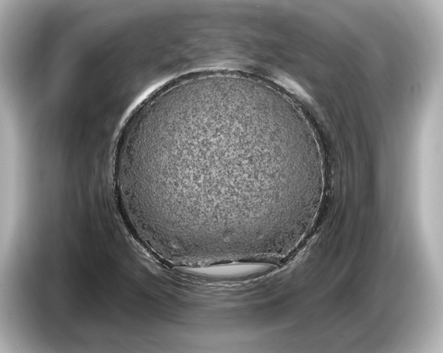 X0000087011216200704301411