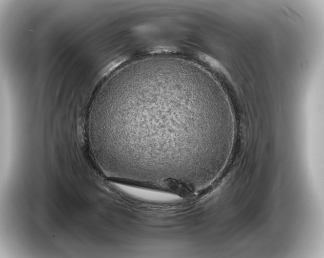 X0000087011217200704301411