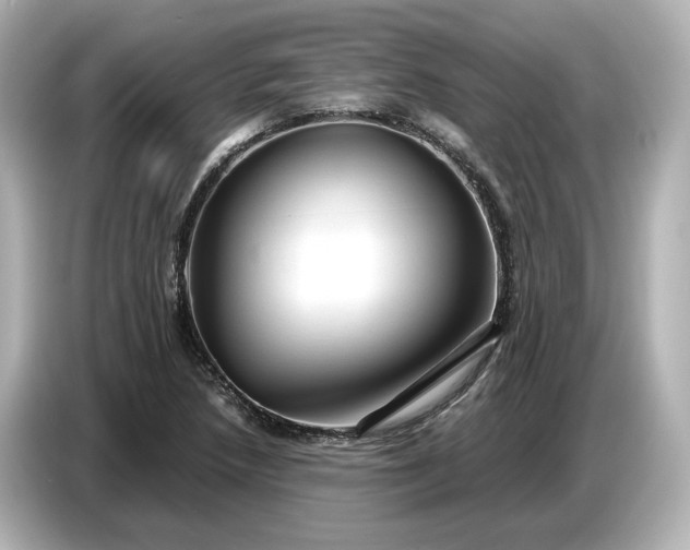 X0000087011218200704301411