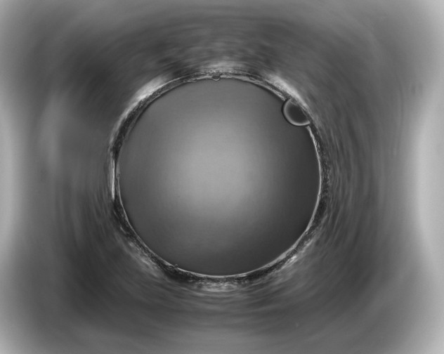 X0000087011219200704301411