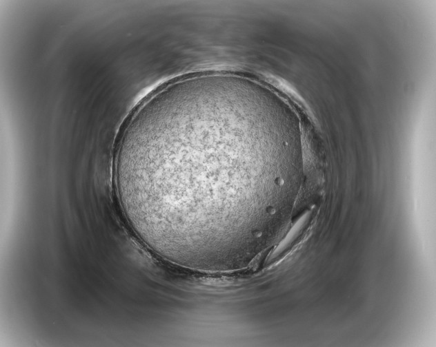 X0000087011220200704301411