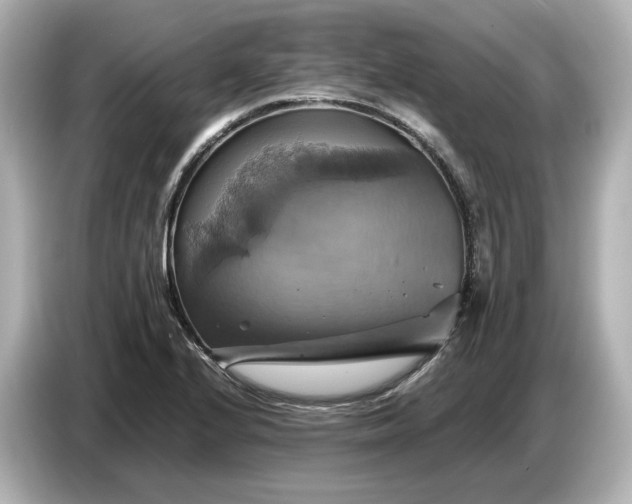 X0000087011224200704301411