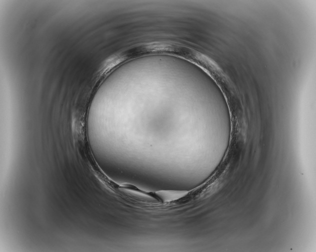 X0000087011225200704301411