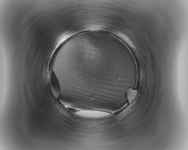 X0000087011226200704301411