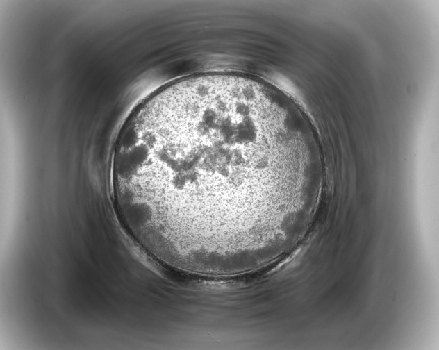 X0000087011227200704301411