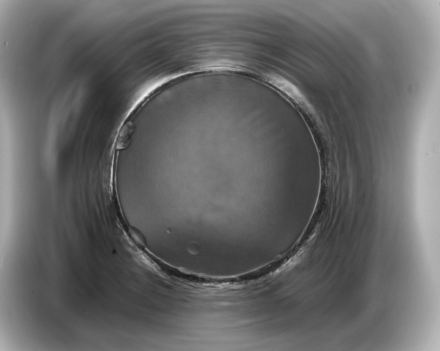 X0000087011228200704301411