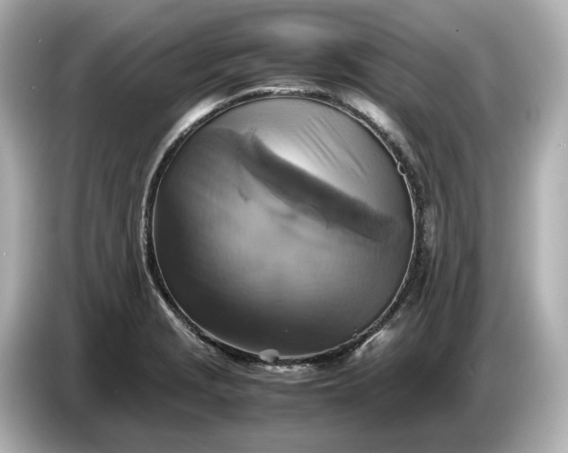 X0000087011229200704301411