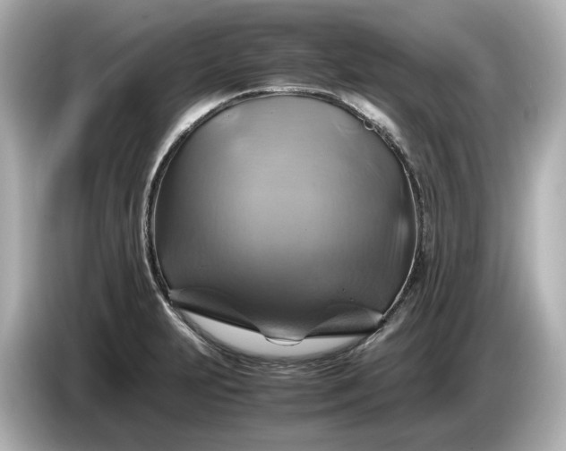 X0000087011231200704301411