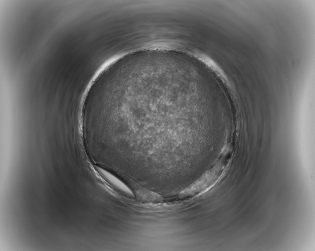 X0000087011232200704301411