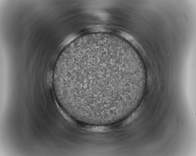 X0000087011233200704301411