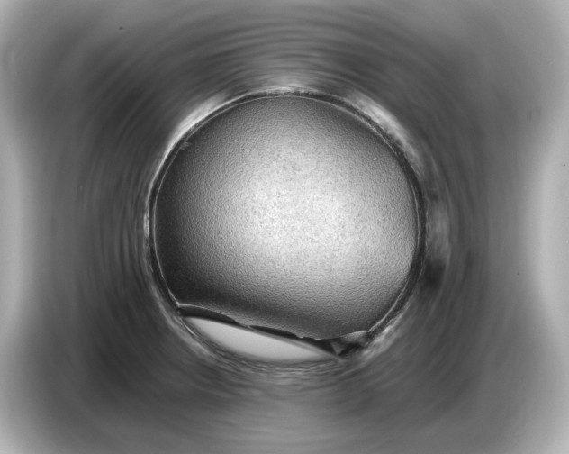 X0000087011234200704301411