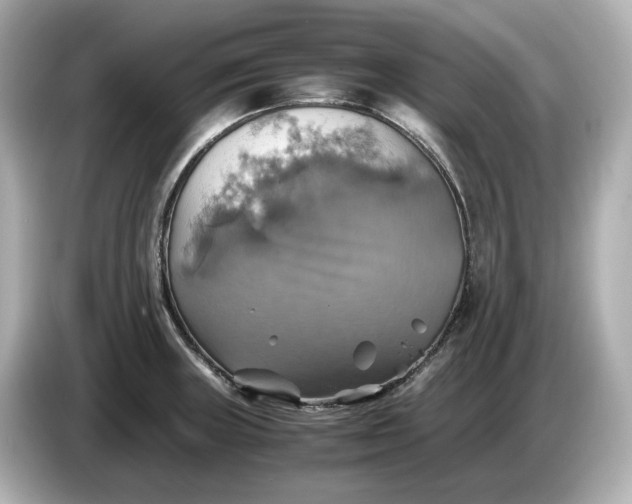 X0000087011235200704301411