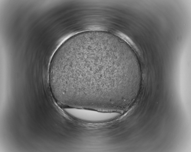 X0000087011236200704301411