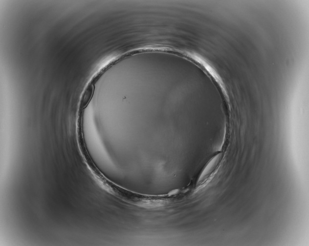 X0000087011237200704301411