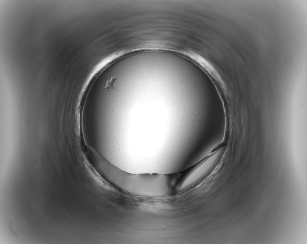 X0000087011238200704301411