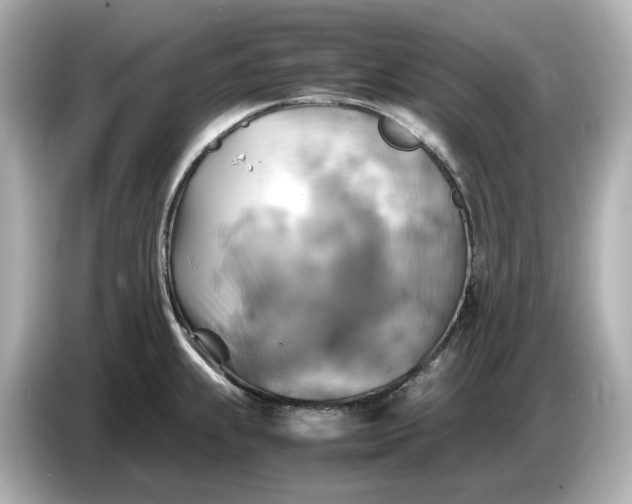 X0000087011239200704301411