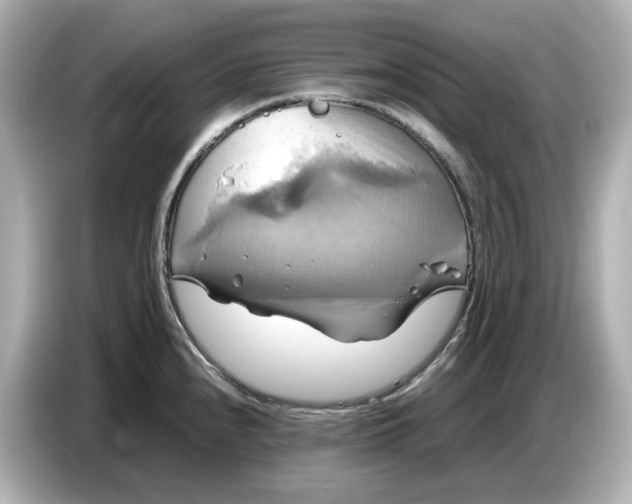 X0000087011240200704301411