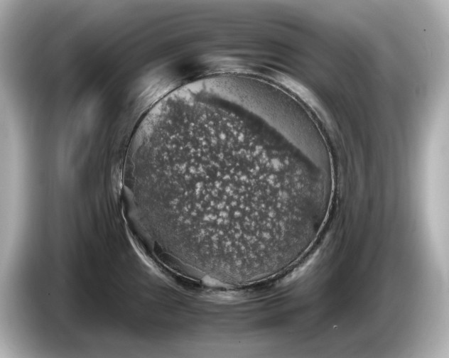 X0000087011241200704301411