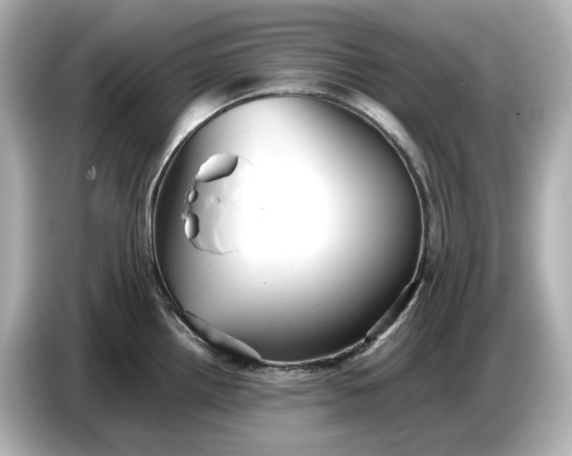 X0000087011242200704301411