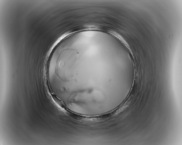 X0000087011243200704301411