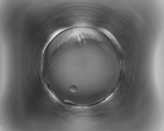 X0000087011244200704301411