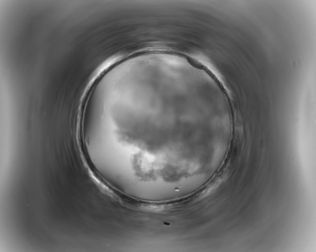 X0000087011245200704301411