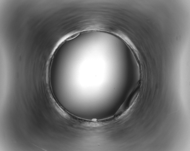 X0000087011246200704301411