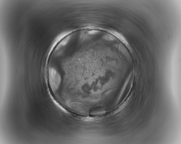 X0000087011247200704301411