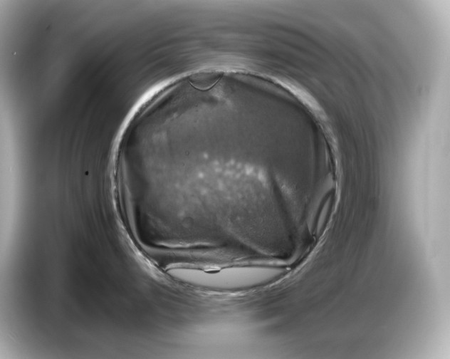 X0000087011248200704301411