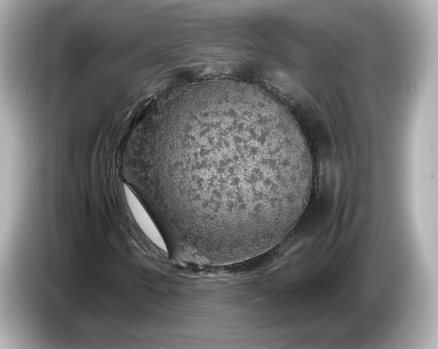 X0000087011250200704301411