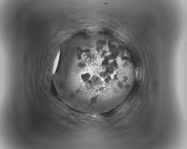 X0000087011251200704301411