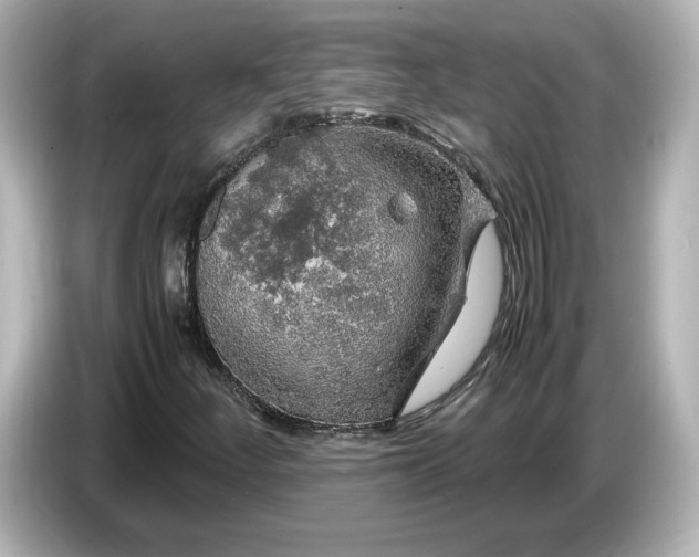 X0000087011252200704301411