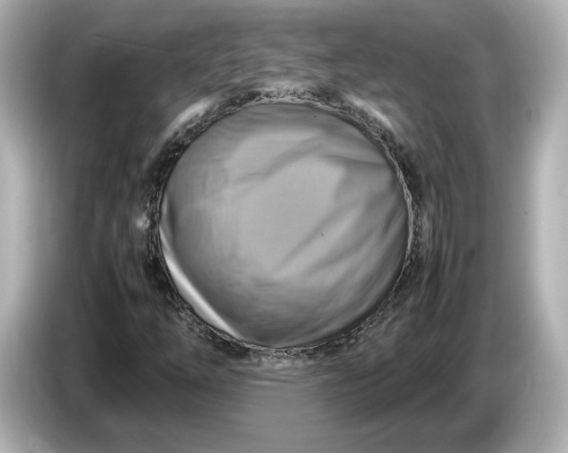 X0000087011254200704301411