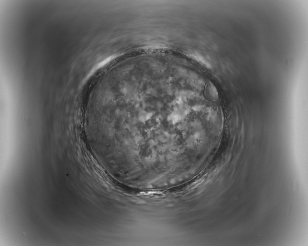 X0000087011255200704301411