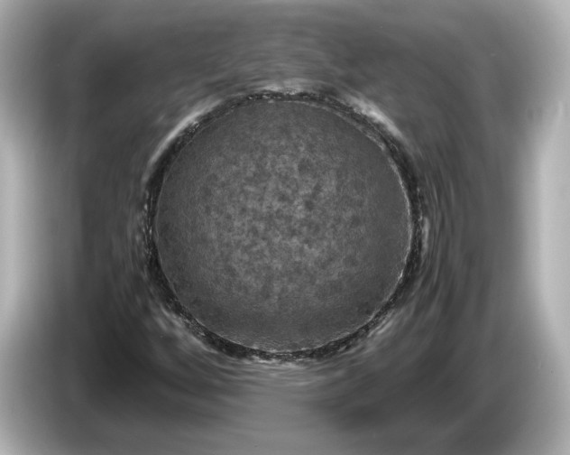 X0000087011256200704301411