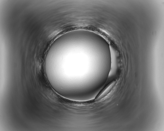 X0000087011257200704301411