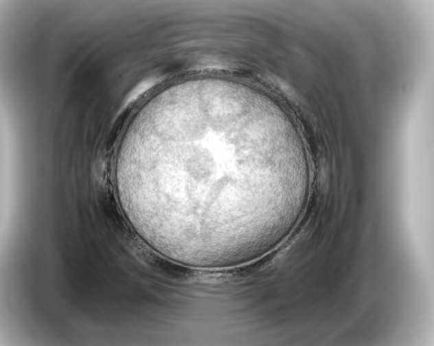 X0000087011258200704301411