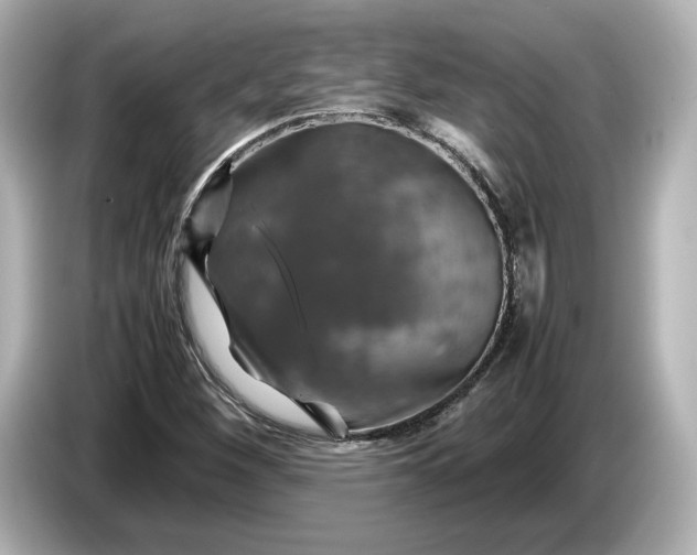 X0000087011260200704301410