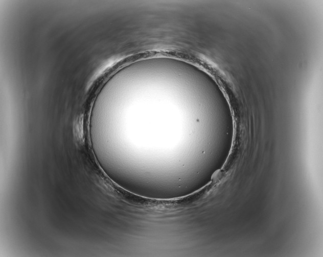X0000087011262200704301410